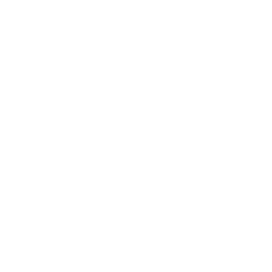 HiFive Burger