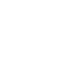 HiFive Burger